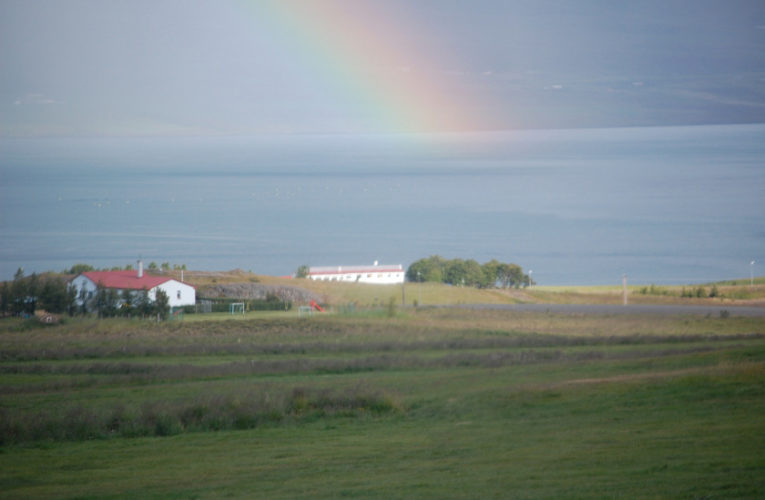 Carson City: Is he really my true Valentine? Love and PTSD.