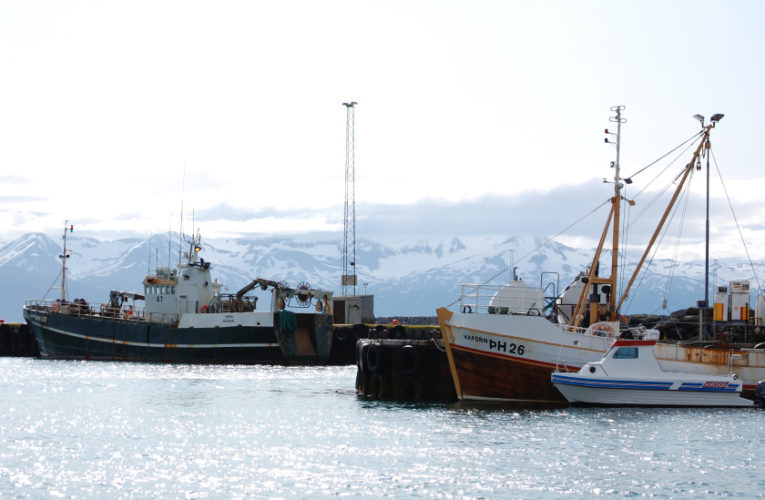 Carson City: Woman/wife/mother: PTSD + suicidal thoughts