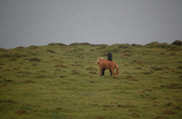 Carson City: The Battle for Harmony When Living With PTSD