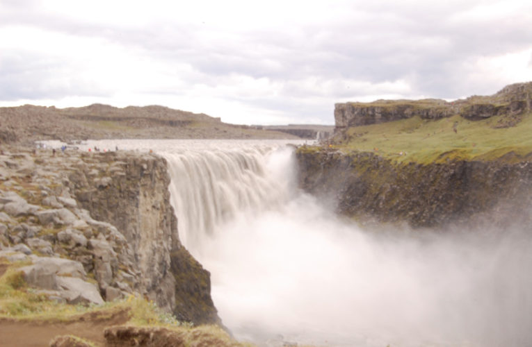Carson City: Help! I’m a lost little amoeba in this big PTSD ecosystem