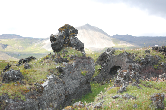 Carson City: Complications arise with a new job. Fear of oversharing when you are a PTSD survivor.