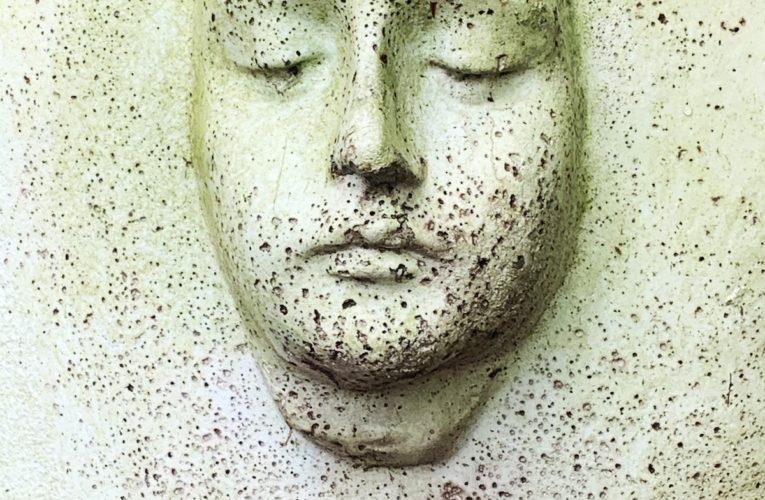 PTSD Book for Veterans and Trauma Sufferers in Carson City